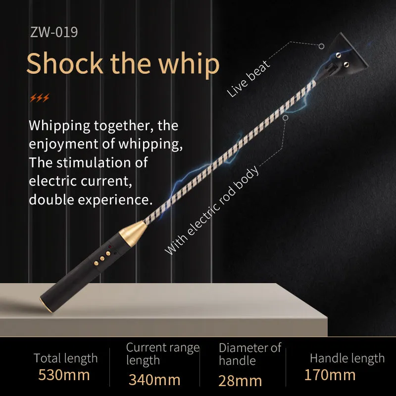 BDSM Punishment Set - Estim Whipping Adult Toys - Domlust