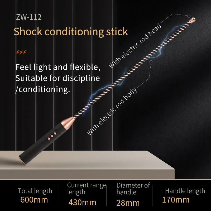 BDSM Punishment Set - Estim Whipping Adult Toys - Domlust