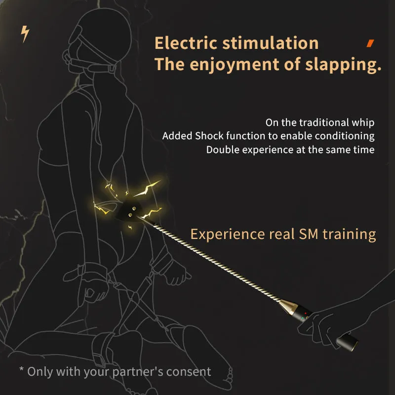 BDSM Punishment Set - Estim Whipping Adult Toys - Domlust