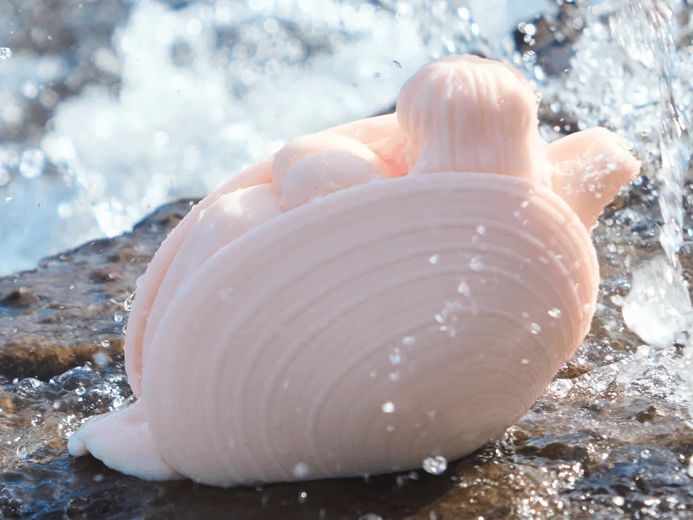 Bella:Male Masturbator Pocket Pussy Seashells Girls