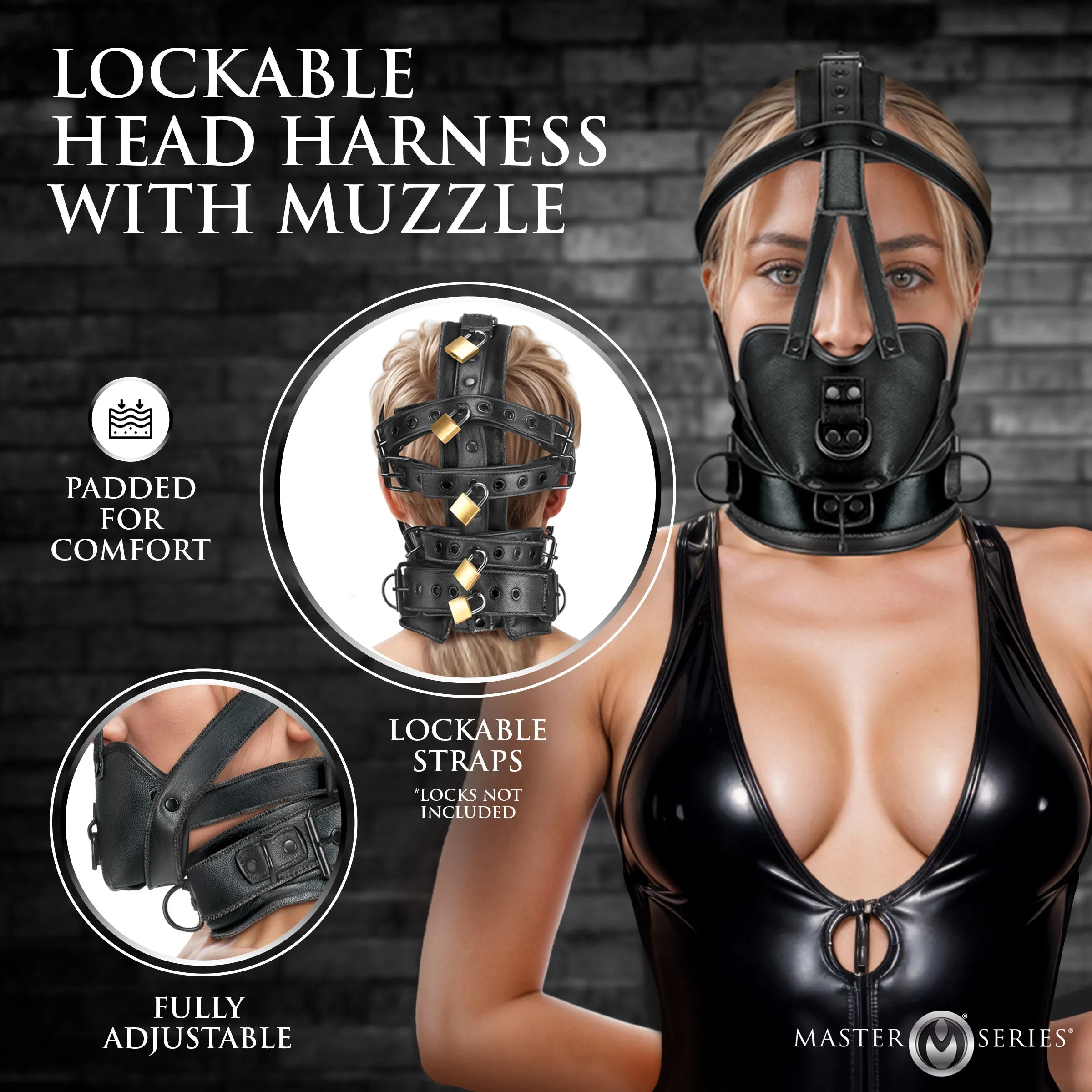 Lockable Head Harness With Muzzle