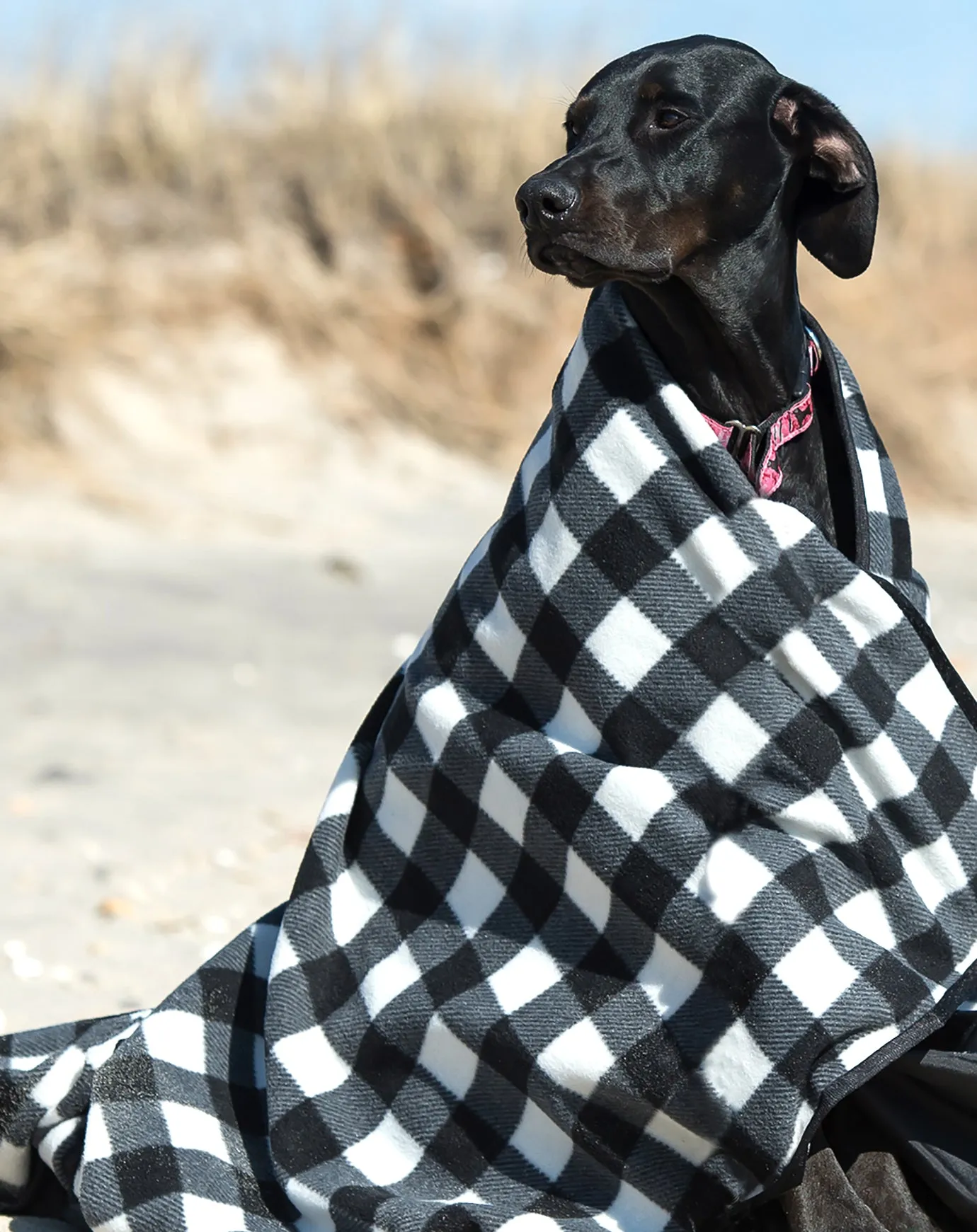 ShelterU Blanket Waterproof (Buy One and We Donate One)