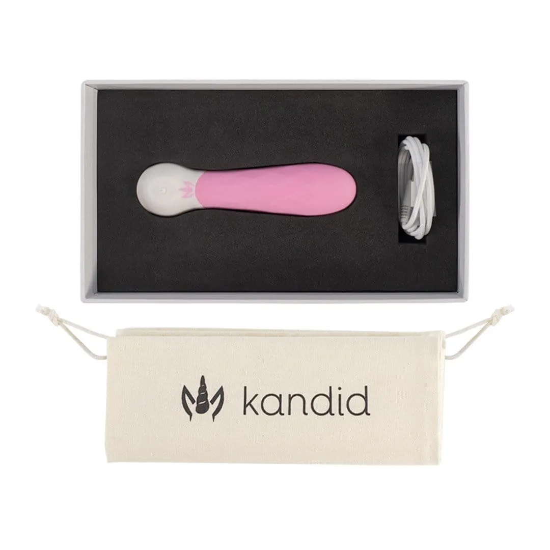 Small Vibrator